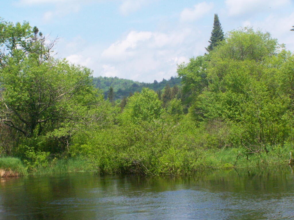 Photo: Spring Time Photo: Spring Time