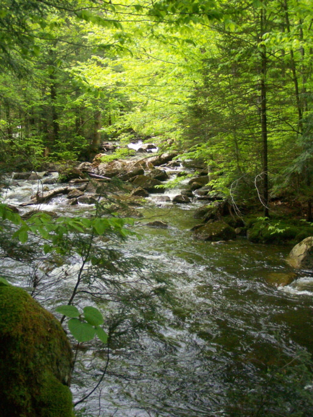 Photo: Full East Canada Creek