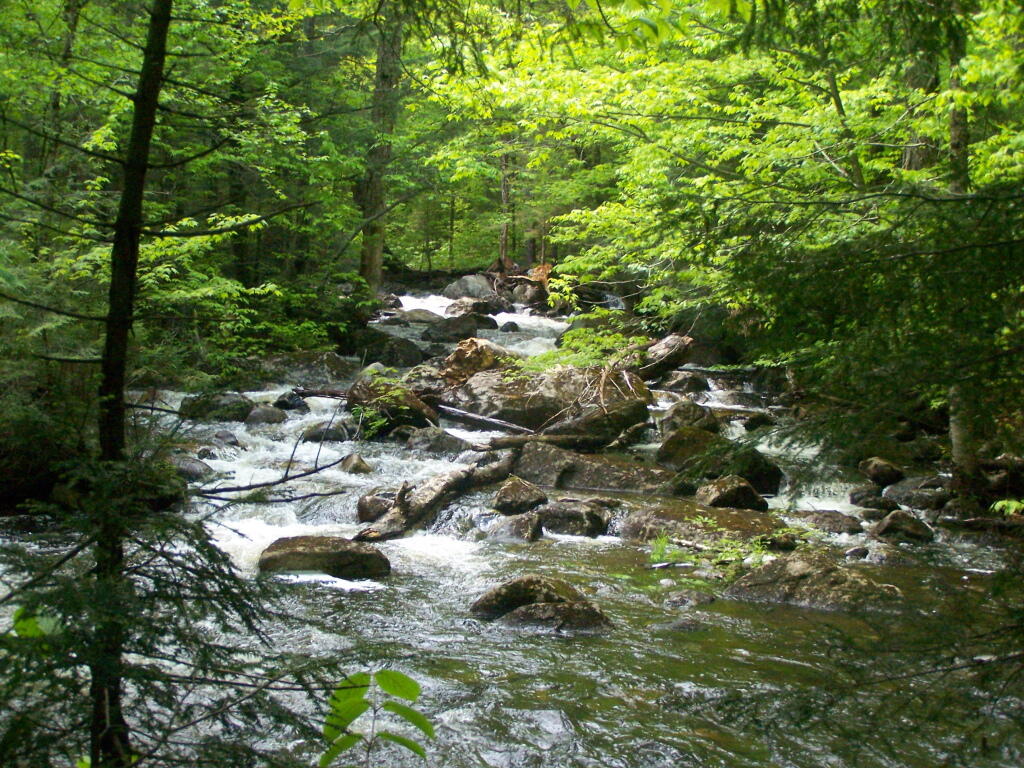 Photo: Waterfalls Below Big Alderbed