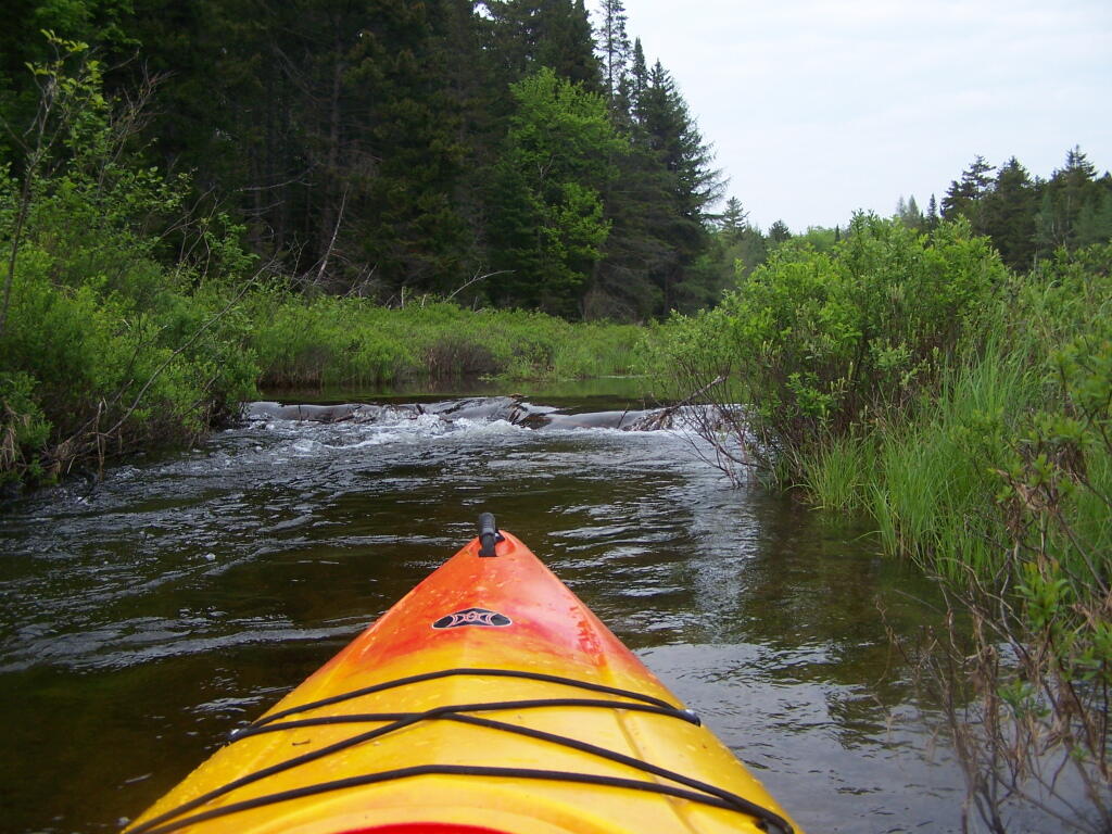 Photo: Big Beaver Dam Ahead
