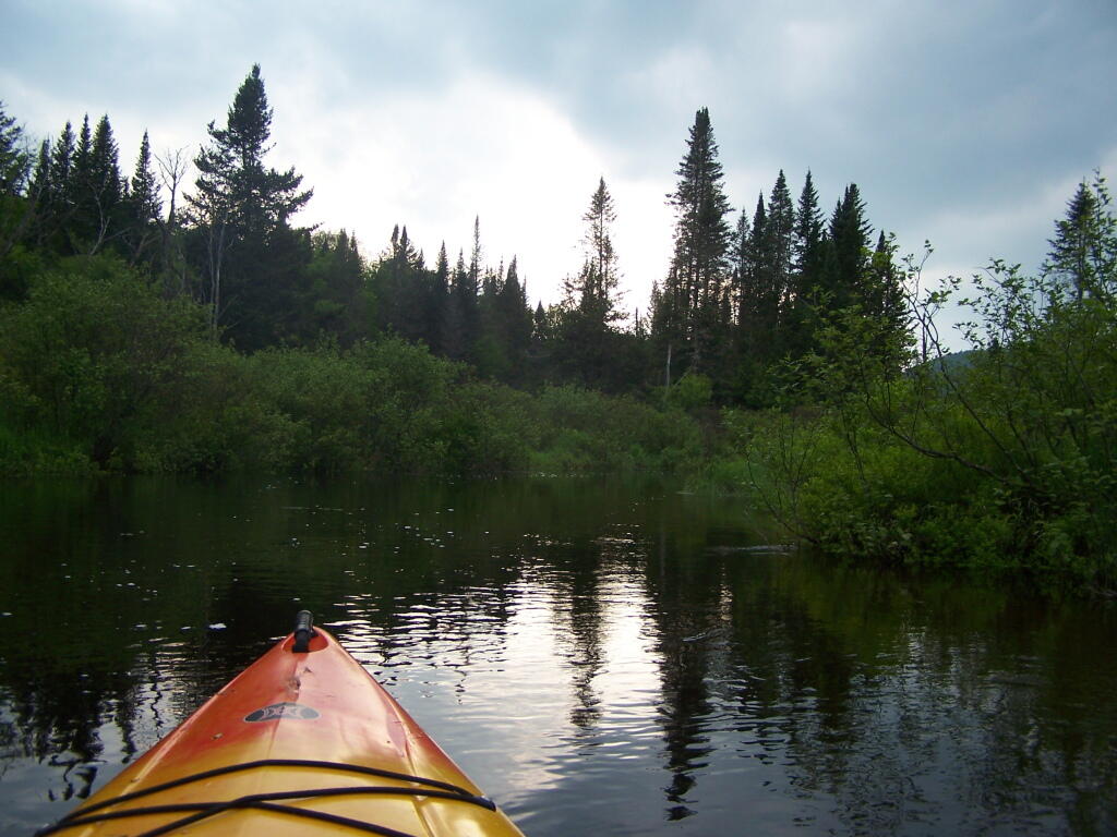 Photo: Paddling Up Creek A Little Further