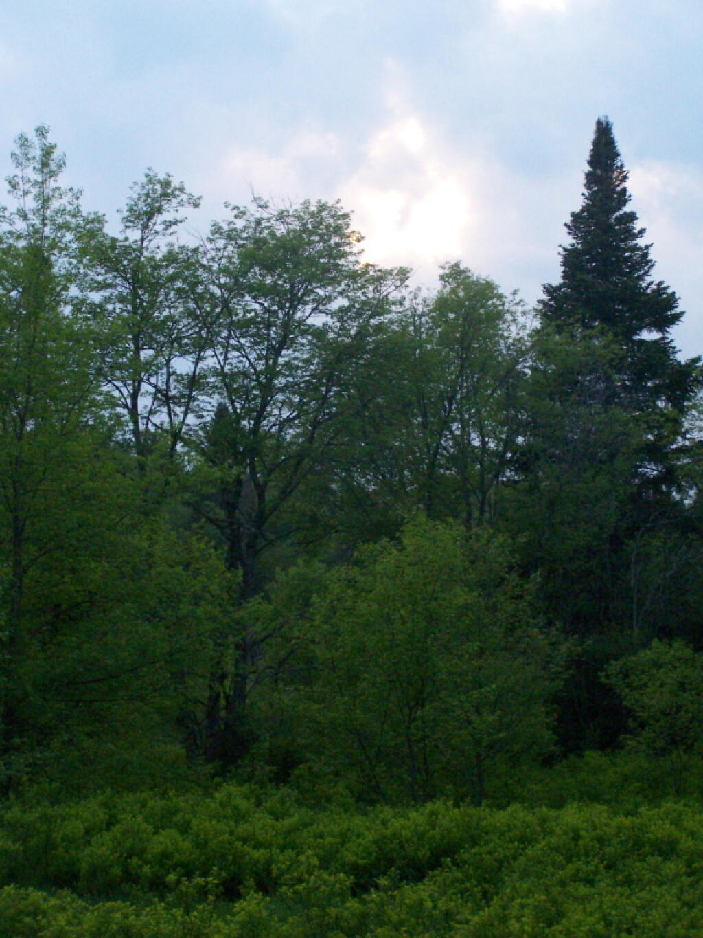 Photo: Along Powley Road