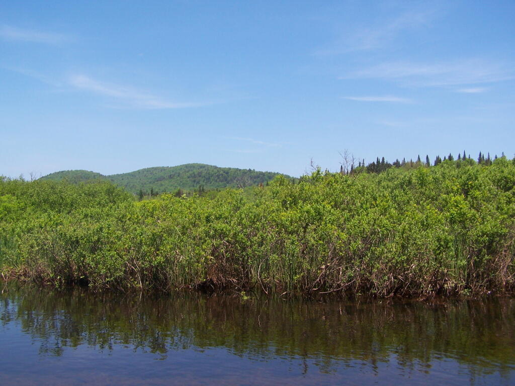 Photo: Big Alderbed Mountain