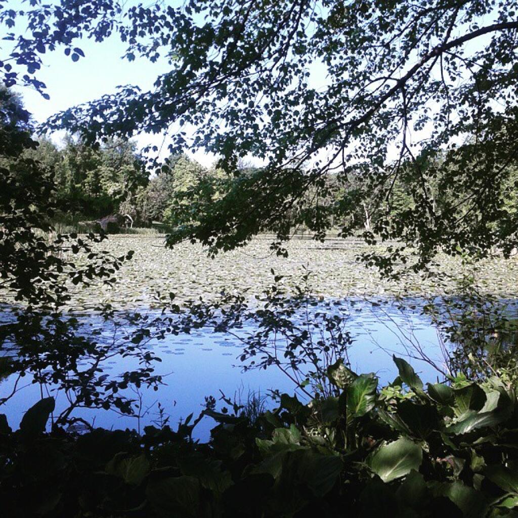 Photo: Frothingham Lake
