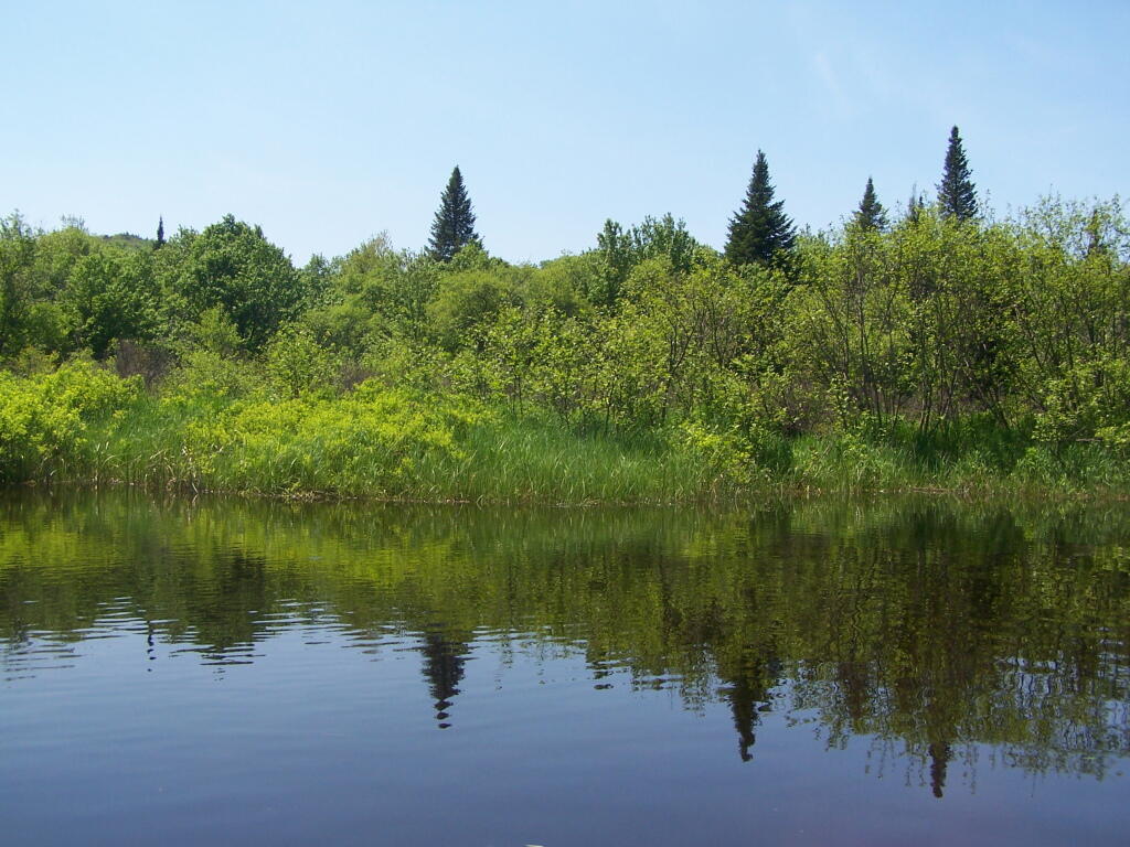 Photo: Reflections