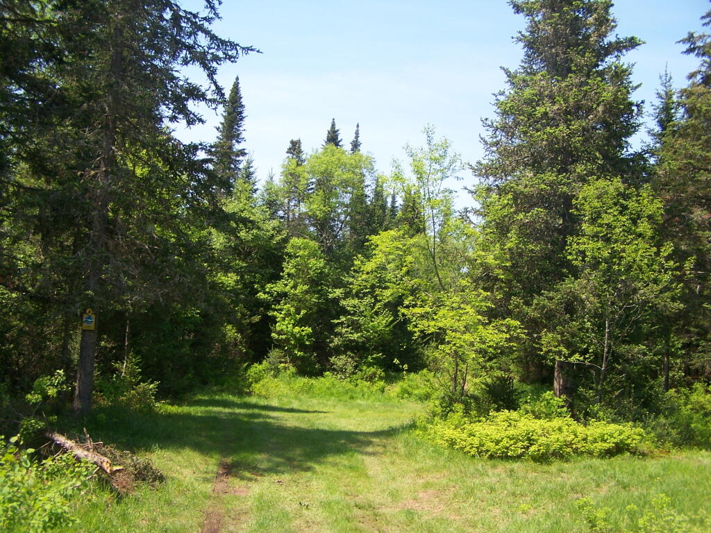Photo: Another Campsite in Powley Place