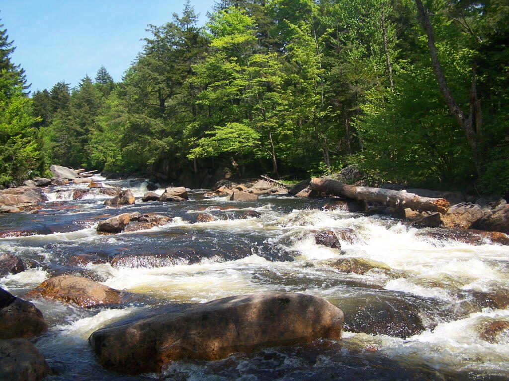Photo: Potholers