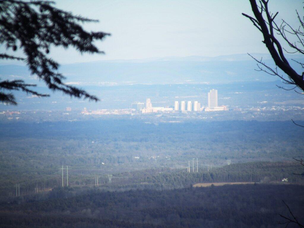 Photo: Albany