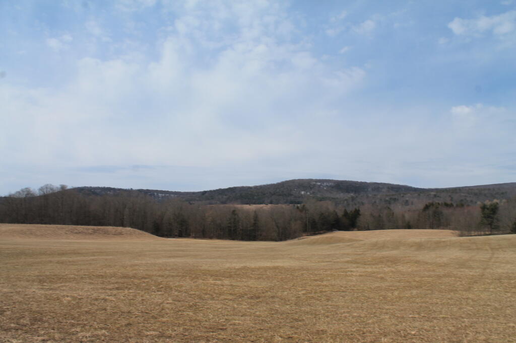 Photo: Before the Plant in 2013