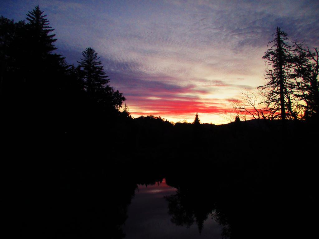 Photo: Dusk on East Canada Creek Photo: Dusk on East Canada Creek