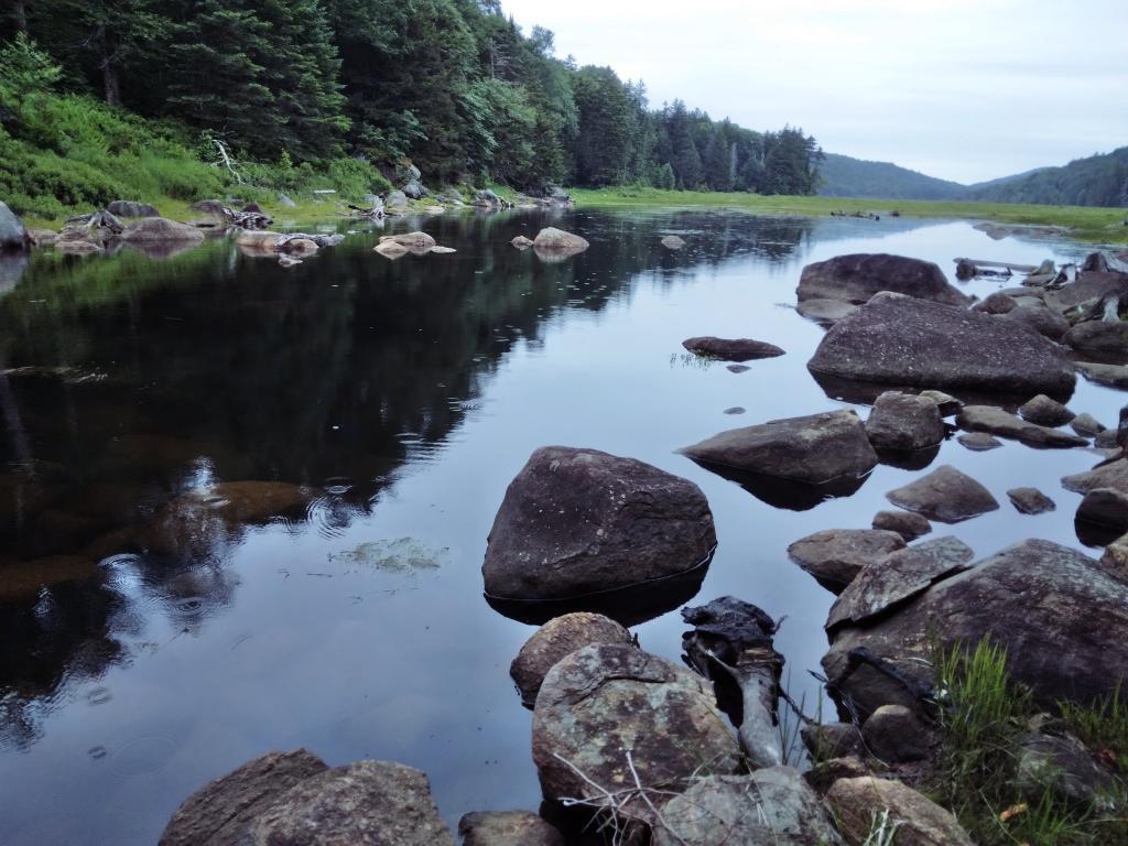 Photo: Raining at Big Alderbed