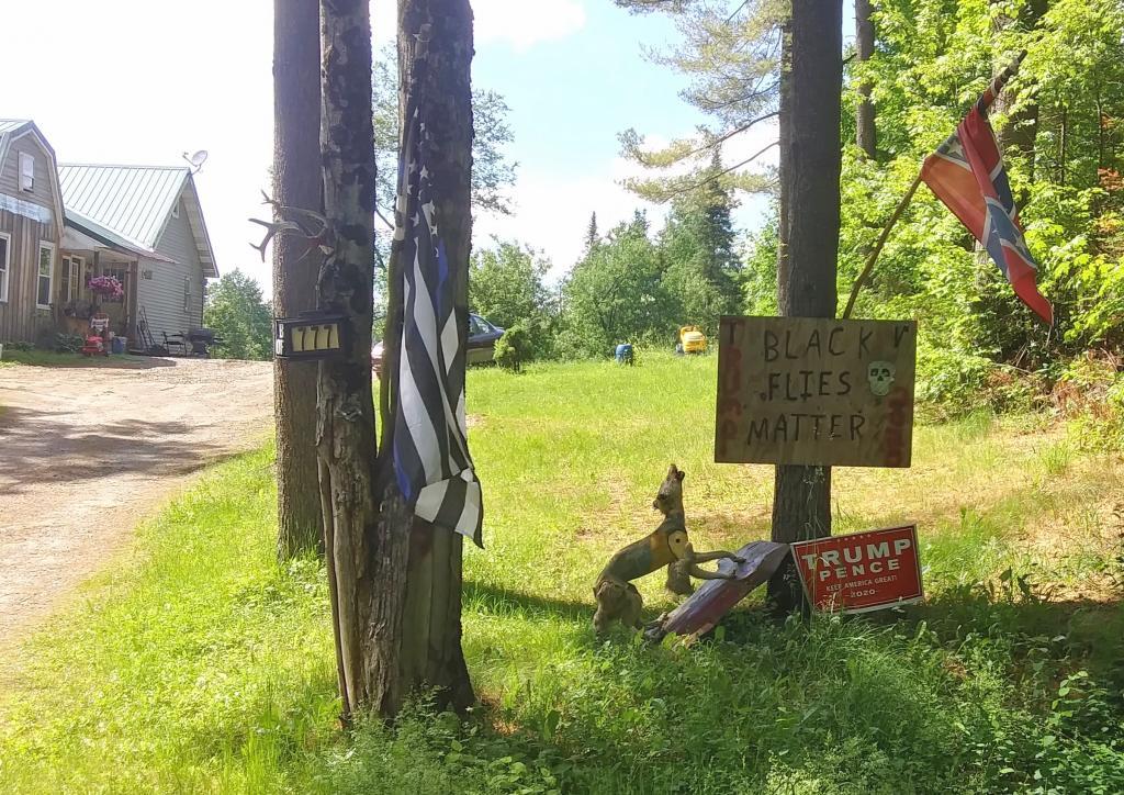 Photo: Black Flies Matter Photo: Black Flies Matter