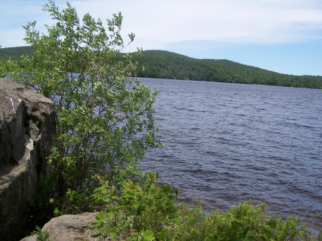 Photo: Reservoir Looking West Photo: Reservoir Looking West