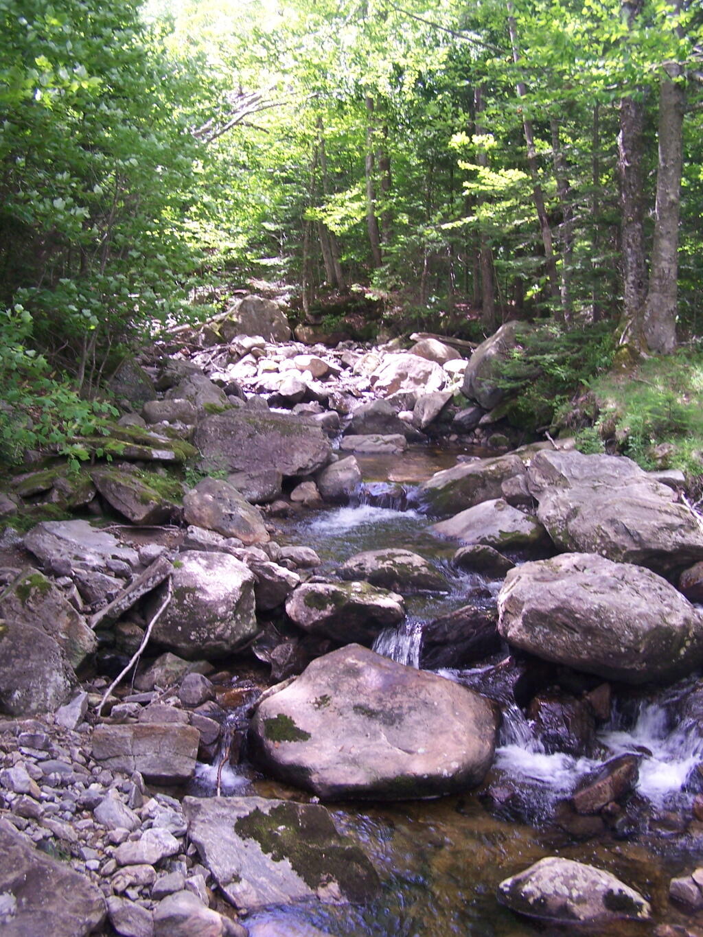 Photo: One of Many Creeks Feeding the Somerset Reservior