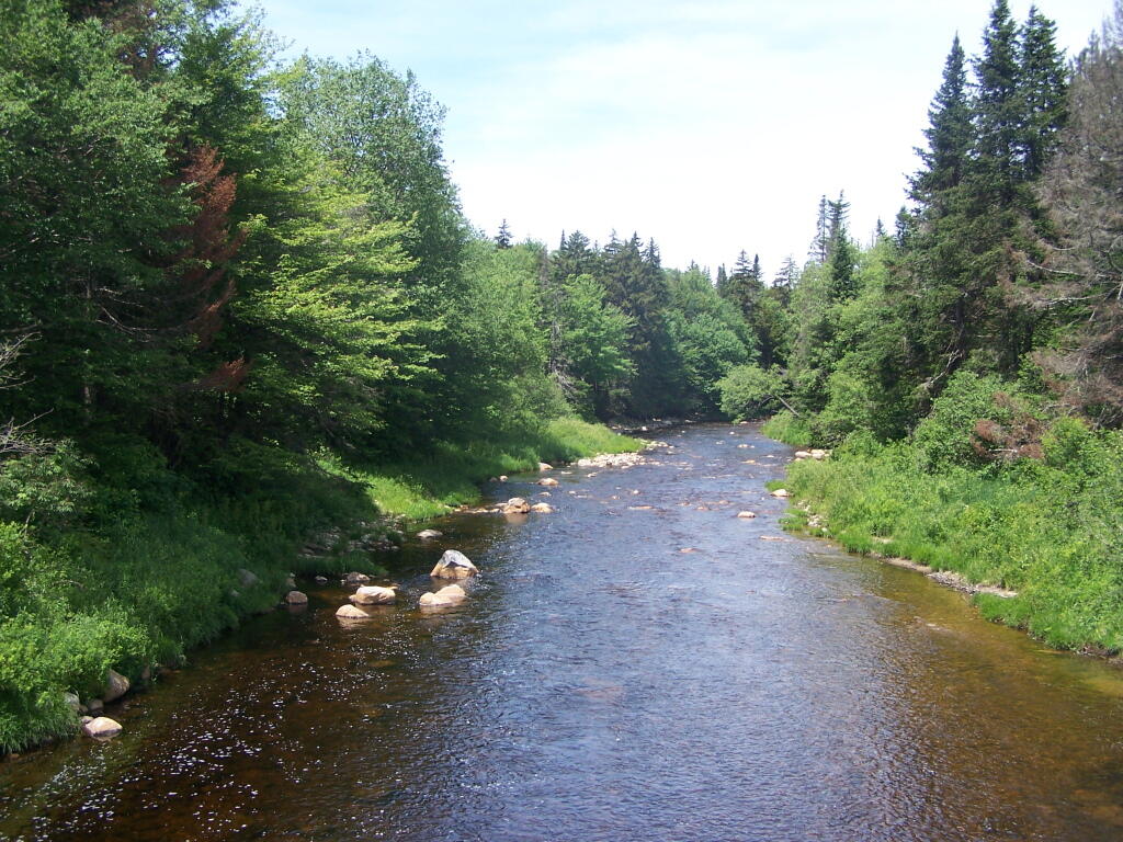 Photo: East Branch of Deerfield River