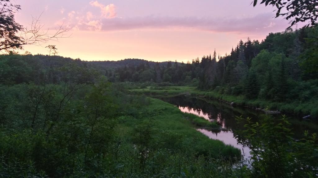 Photo: First evening of summer Photo: First evening of summer