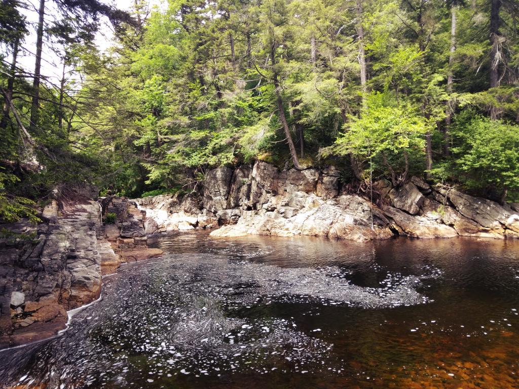 Photo: Swimming Hole Off Old Edick Road
