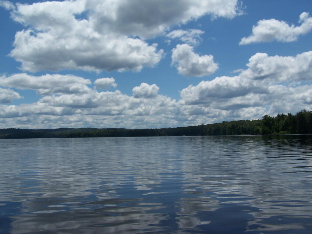 Photo: Beautiful Morning Out