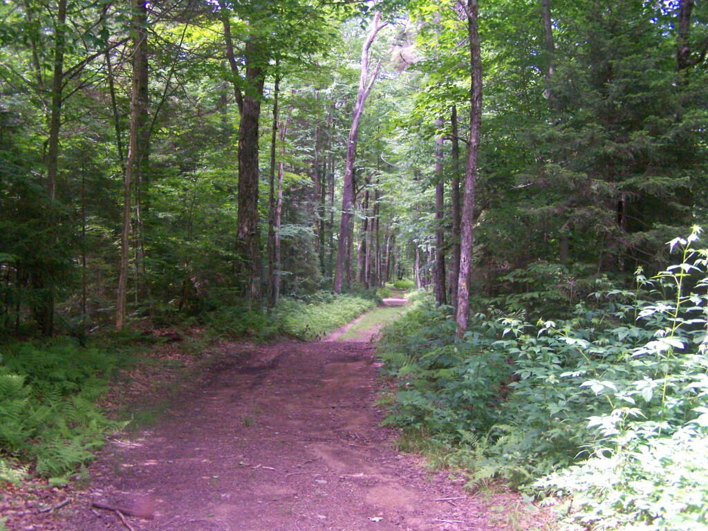 Photo: Remsen Falls Trail