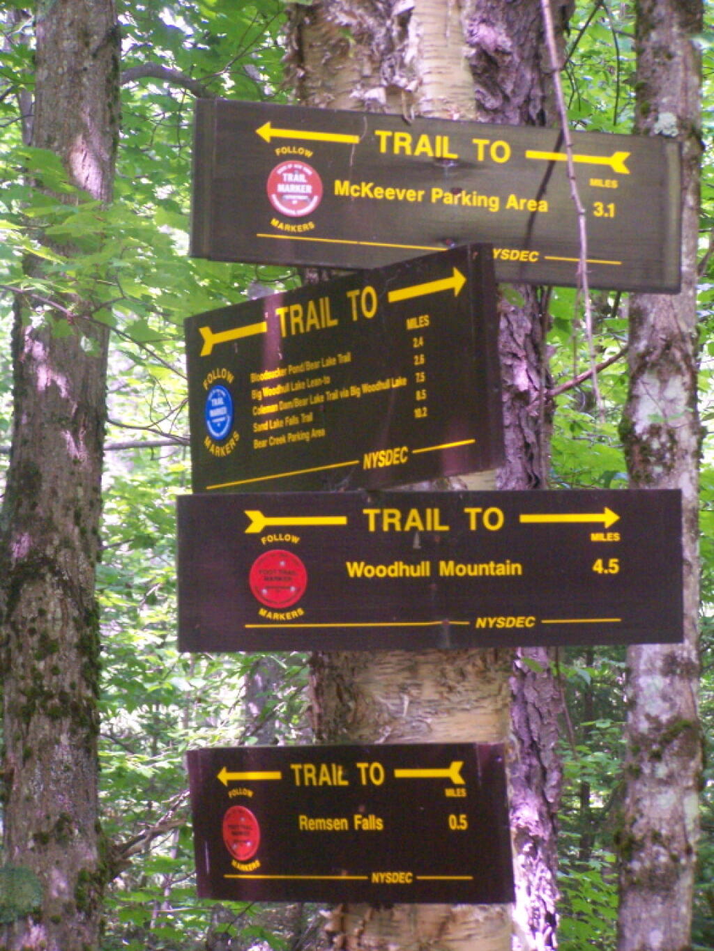 Photo: Intersection of Woodhull Mountain Trail and Remsen Falls Trail