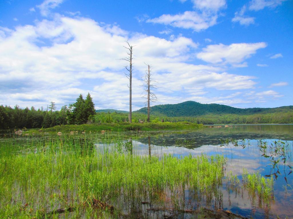 Photo: Wilcox Lake