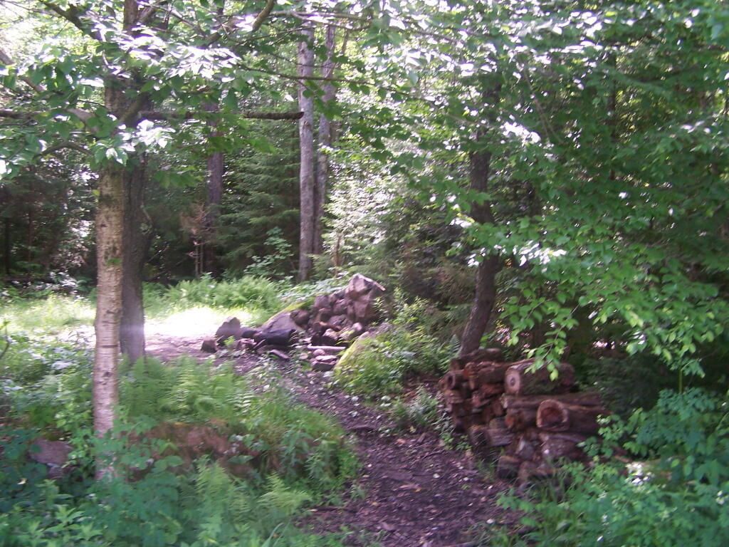 Photo: Campsite 1 at Remsen Falls Photo: Campsite 1 at Remsen Falls