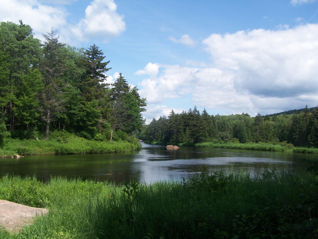 Photo: East on Middle branch of Moose River