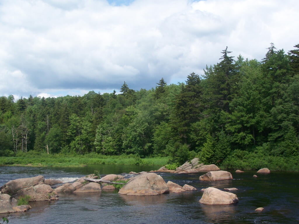 Photo: Above Remsen Falls