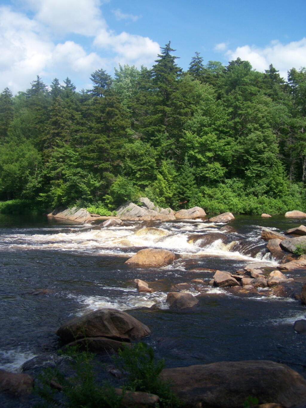 Photo: The Falls