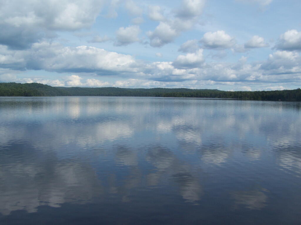 Photo: Later in Evening On Lake