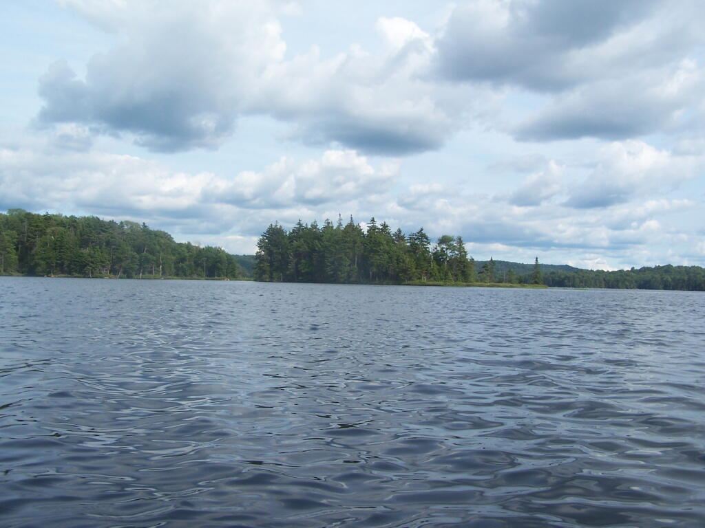 Photo: Island on the Lake Photo: Island on the Lake