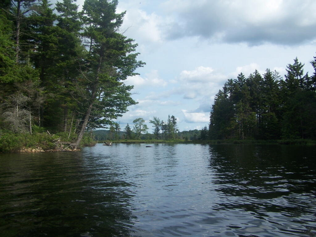 Photo: Behind the Island