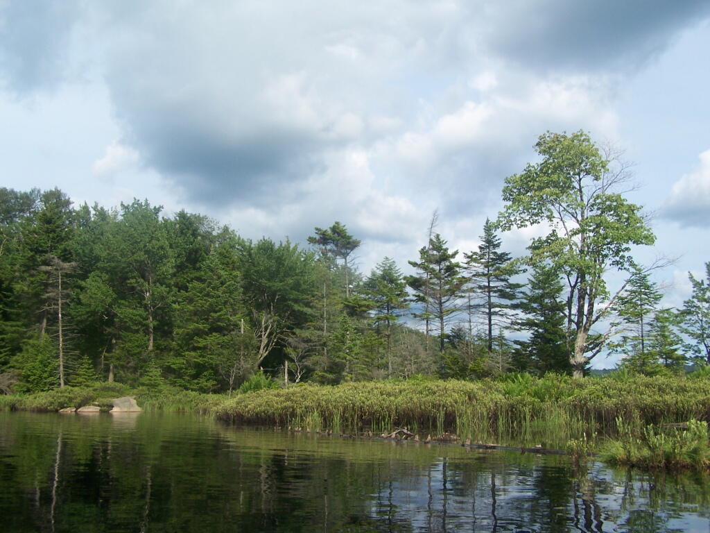 Photo: Exploring Back of Island