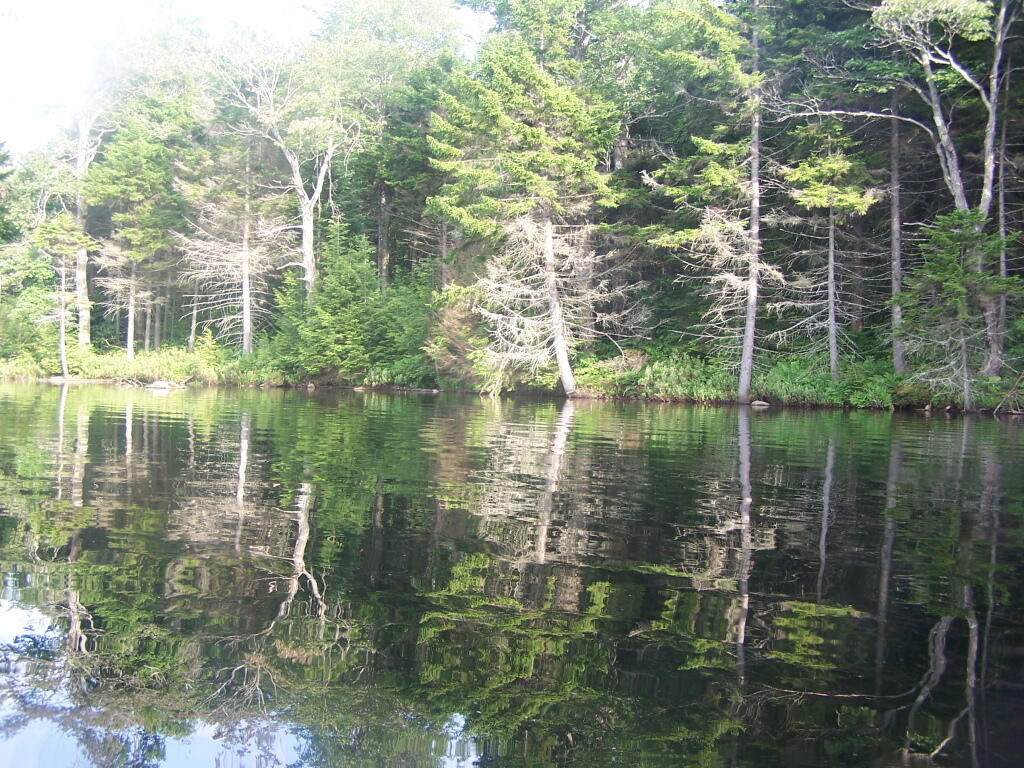 Photo: Reflections