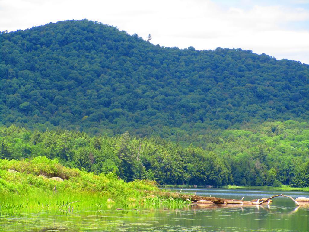 Photo: Spruce Mountain
