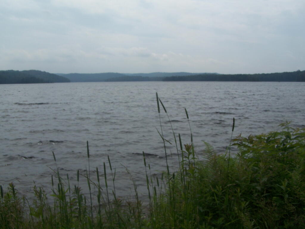 Photo: Woodhull Lake on a Cloudy, Rainy Day