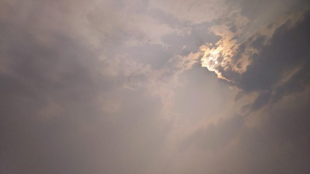 Photo: Smoggy sunshine Photo: Smoggy sunshine