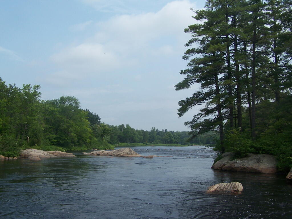 Photo: Stopping to Look at Moose River