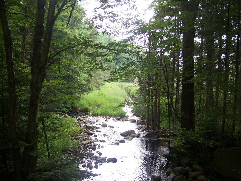 Photo: Pine Creek