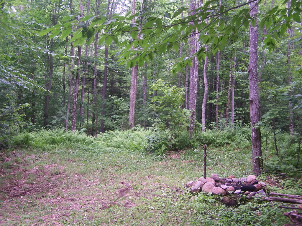Photo: Campsite 10 on Smith Road