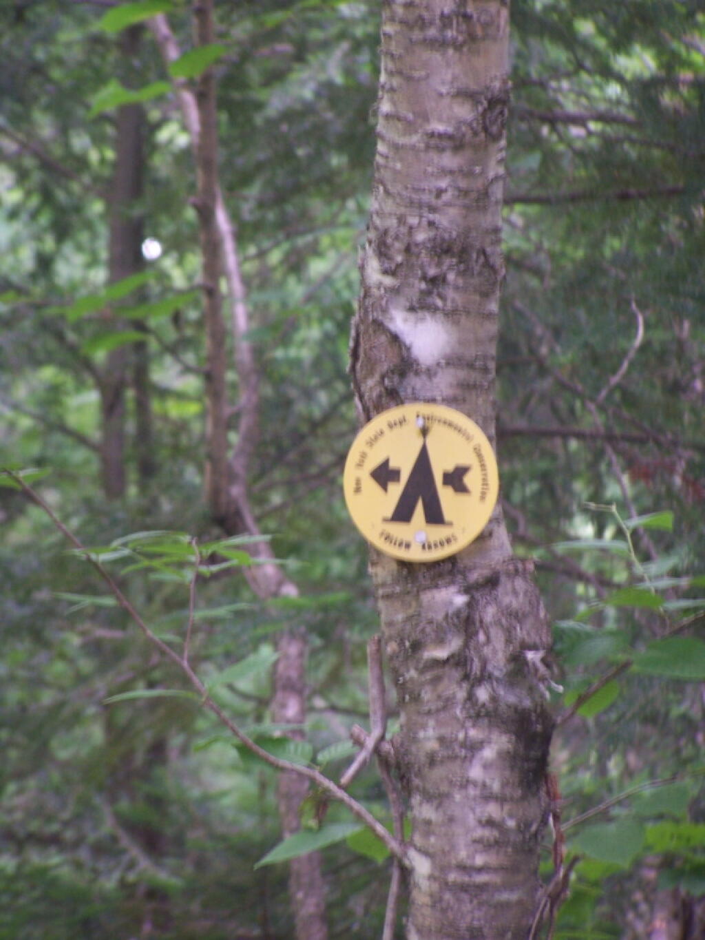 Photo: Camp Here Marker to Campsite 8