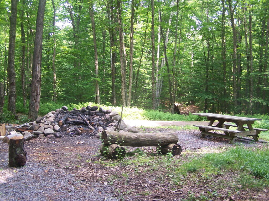 Photo: Basket Factory ADA Campsite
