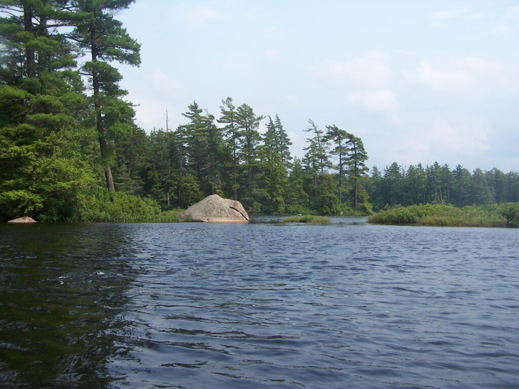 Photo: In a Calmer Bay of Francis Lake