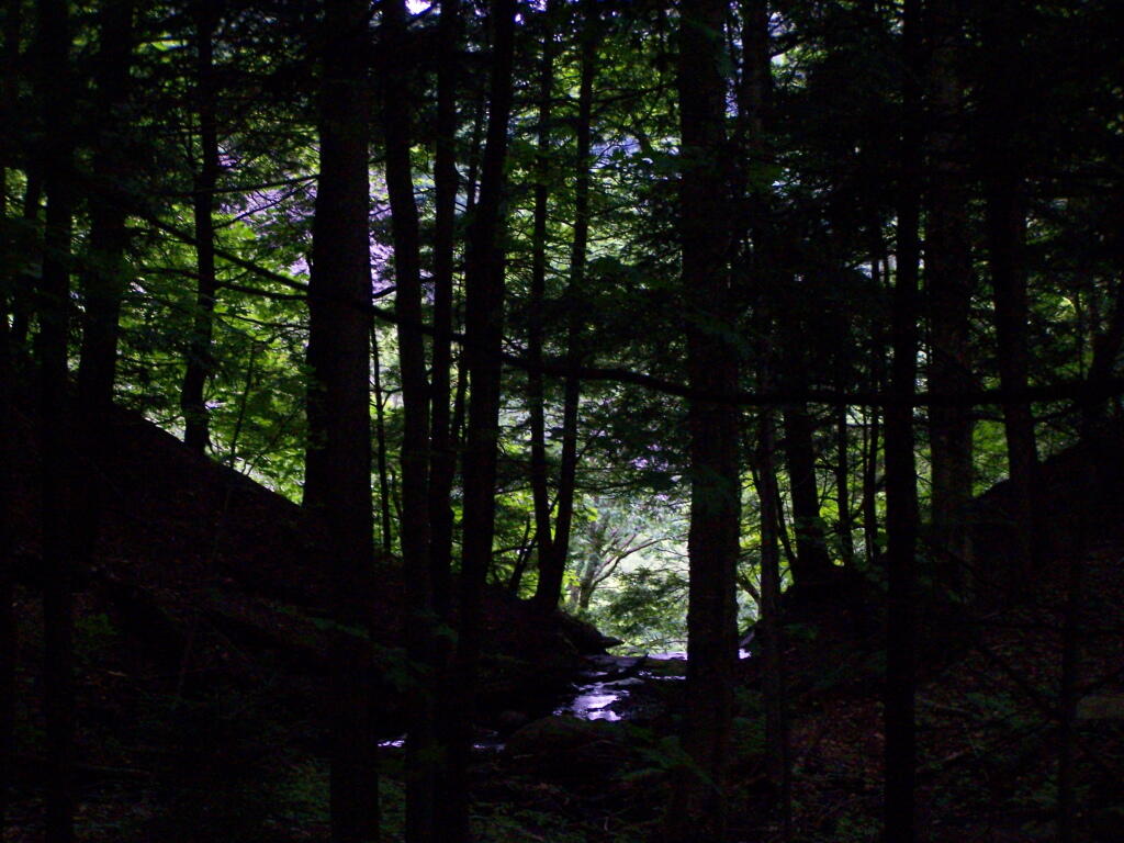 Photo: Looking Into Inman Gulf