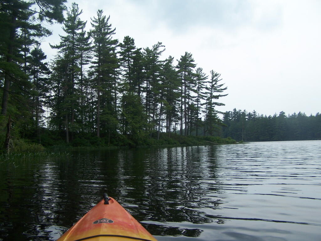 Photo: Exploring Rear Portion of Francis Lake