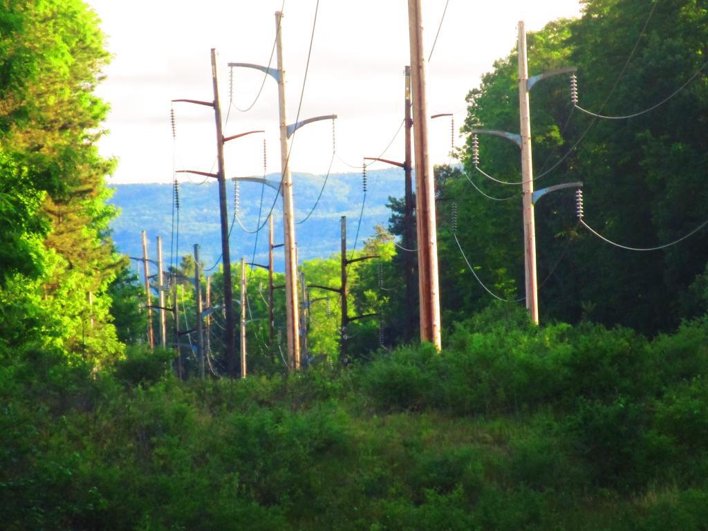 Photo: Power Lines Photo: Power Lines