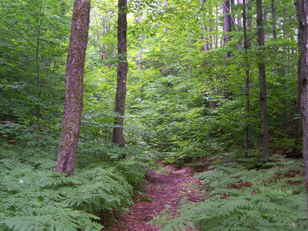 Photo: Walking Through Glacially Cut Ridge