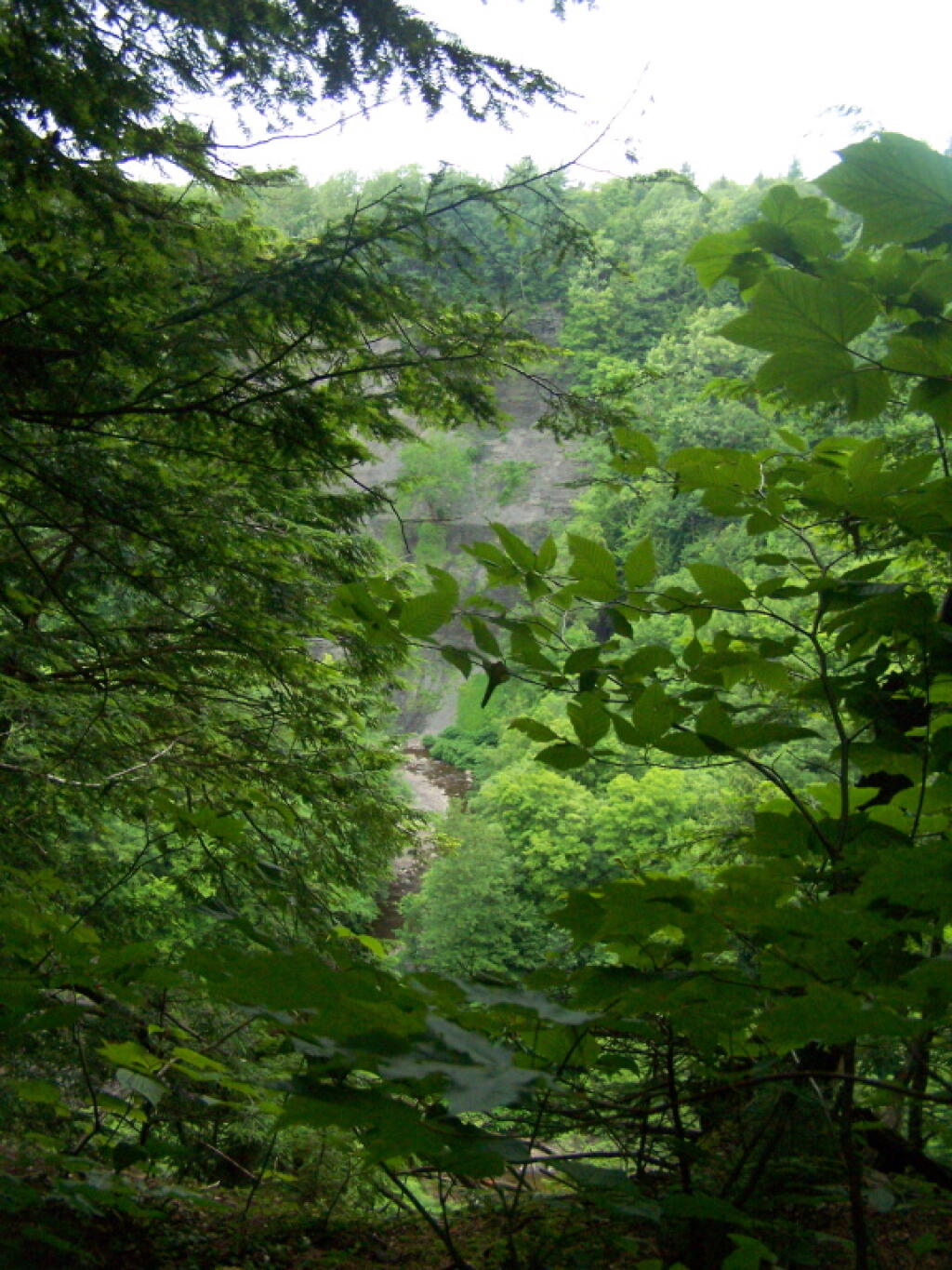 Photo: Along Oak Rim Trail