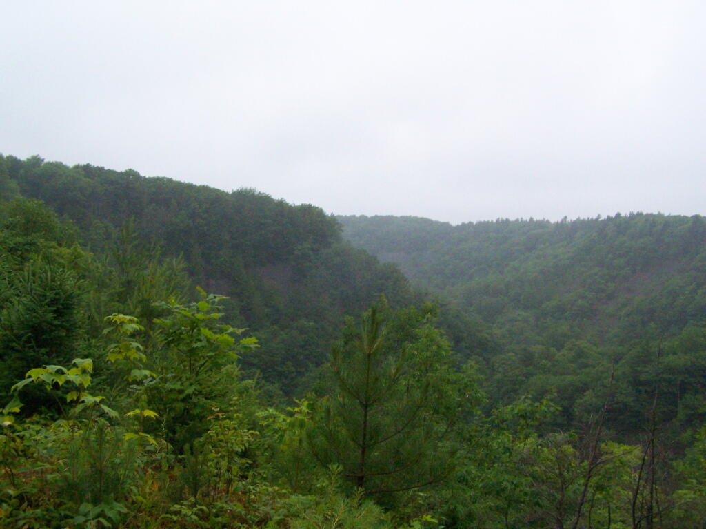 Photo: Open Area Near Powerline Photo: Open Area Near Powerline