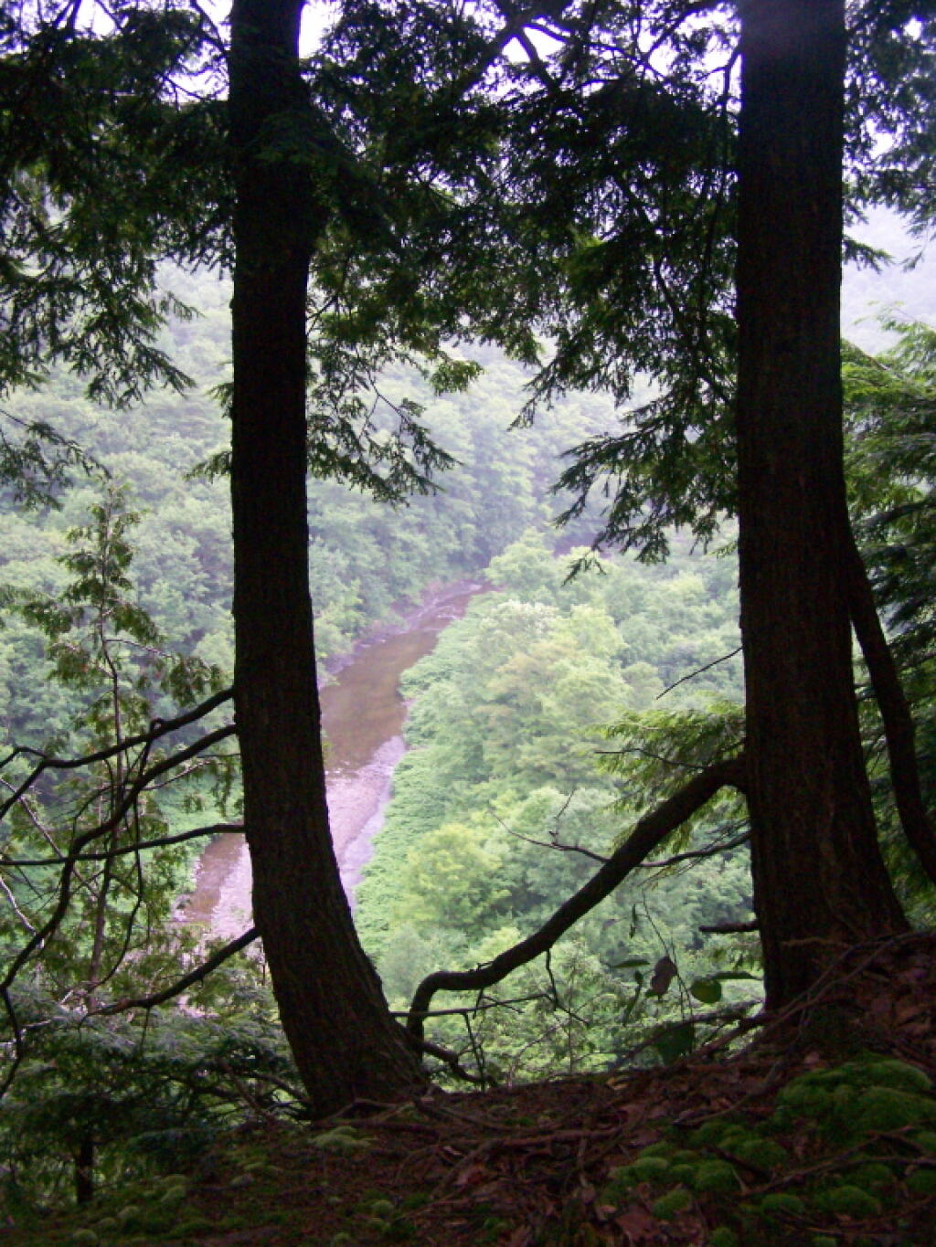 Photo: Inman Stream Below Photo: Inman Stream Below